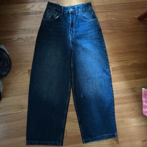 ZARA Wide Leg Barrel like Jeans SIZE 25